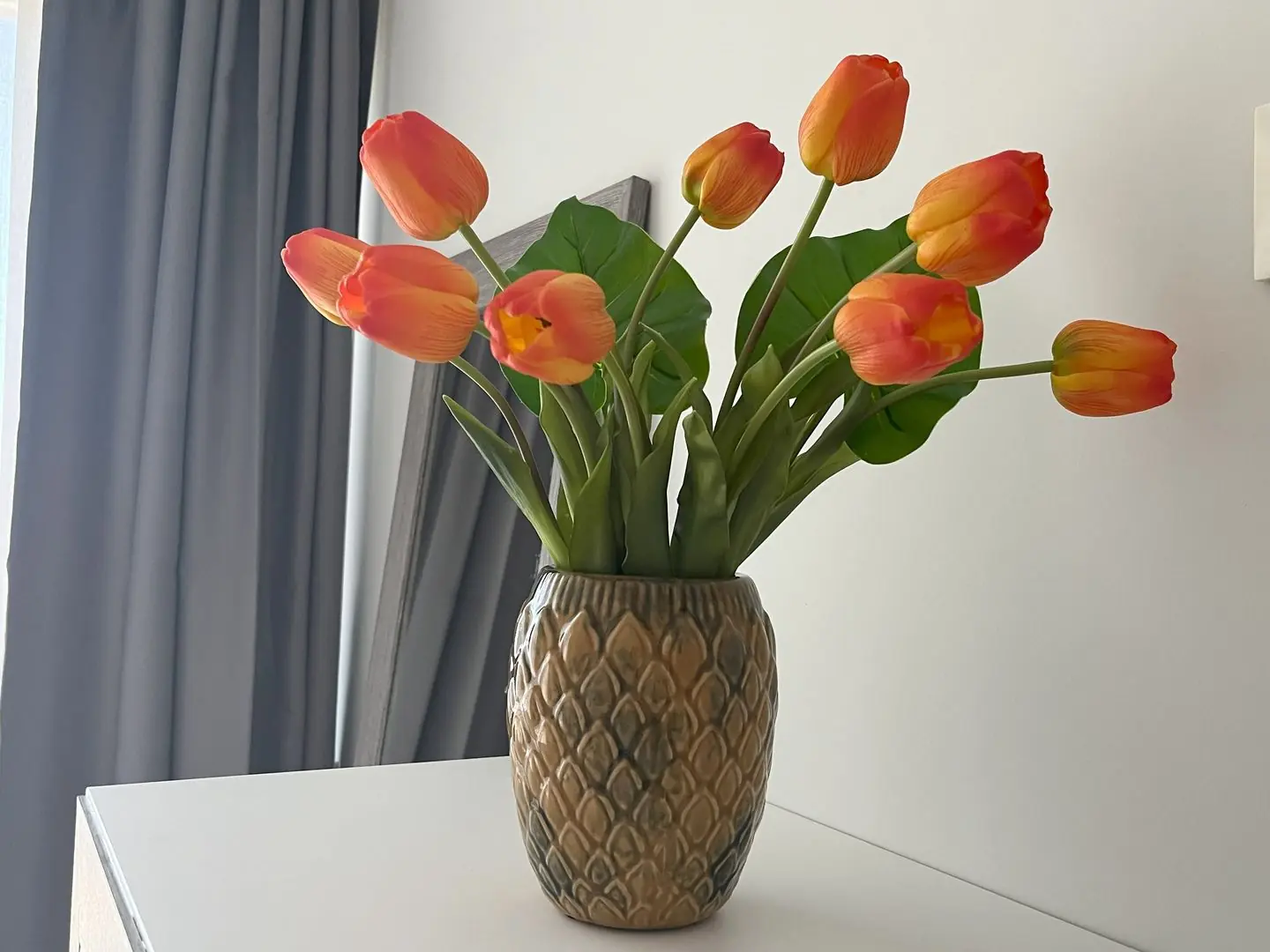 Veigas de Iria - Apartamento Tulipas